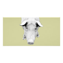 The Hog in Black and White Personalized Photo Card