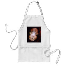 The Homunculus Nebula Apron