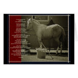 The Horse Card