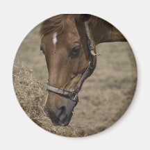 THE HORSE REFUGE FRIDGE MAGNET