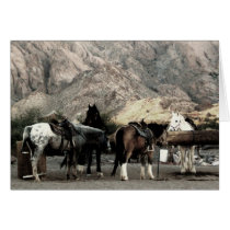 the Horses Greeting Card