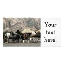 the Horses Photo Card