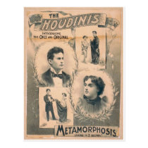 The Houdinis, 'Metamorphosis change in 3 seconds' postcards