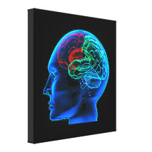 The Human Brain  Stretched Canvas Print