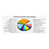 The Human Genome with Number and Percent of Each Photo
