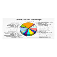 The Human Genome with Number and Percent of Each Photo