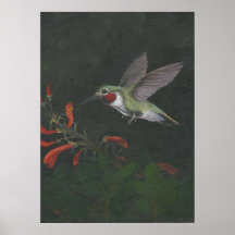 the humming bird print