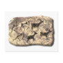 The Hunt-stone Postcard