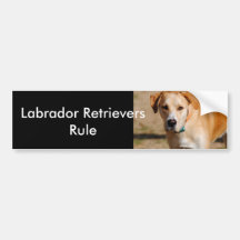 The Hunter I Yellow Lab Bumper Sticker