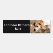 The Hunter II Yellow Lab Bumper Sticker