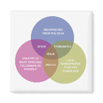The Immaculate Venn Diagram Magnet