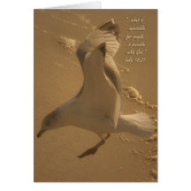 The Impossible Greeting Cards