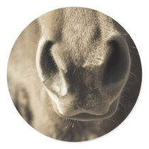 The Incredible Edible Mr. Ed Sticker
