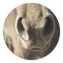 The Incredible Edible Mr. Ed stickers