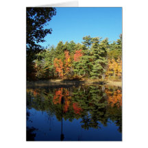 THE INLET 5 CARDS