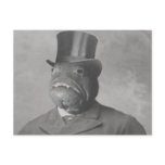 The Innsmouth Look Post Cards