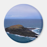 The Island Magnets