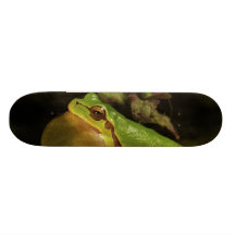 The Italian Tree Frog Hyla Intermedia Skate Board Decks