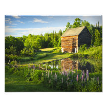 The John Brown Farm in the Adirondacks, N.Y. Photo Art