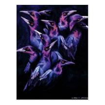 "The Jury" Crow Watercolor Art Post Card