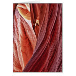 The Keyhole Card