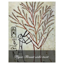 The King Is Fed From The Holy Tree (Lady Of The Sy Full Color Flyer