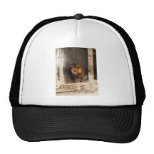 The King Mesh Hats