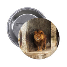 The King Pinback Buttons