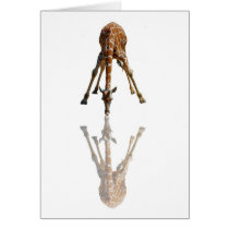 THE KISS GREETING CARD