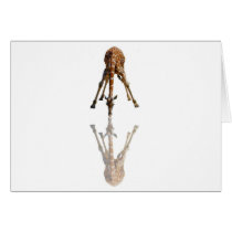 THE KISS GREETING CARDS