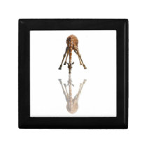 THE KISS ON WHITE KEEPSAKE BOX