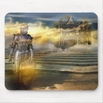 The knight of the celestial palace