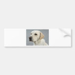 The Lab Bumper Stickers