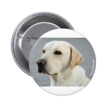 The Lab Pinback Buttons