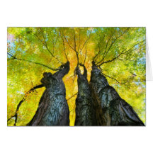 The Ladies dance, Fall card, autumn, tree