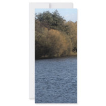 The Lake 2 Full Color Rack Card