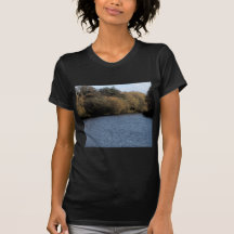 The Lake 2 Tee Shirts