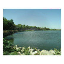 The Lake's Edge Art Photo