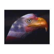 The Land of the Free, Home of the Brave Postcards