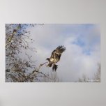 "THE LANDING" Photo Print