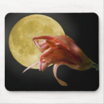 The Last Waltz Mouse Pad