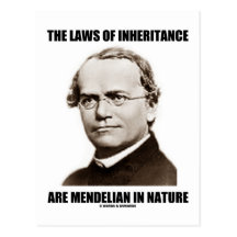 The Laws Of Inheritance Are Mendelian In Nature Postcard