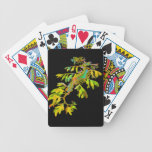 The Leafy Sea Dragon Seahorse Playing Cards