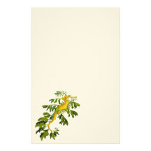 The Leafy Sea Dragon Stationery