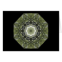 The Light Above Greeting Card