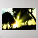 The Light of Dawn posters