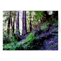 the lilac wood greeting cards