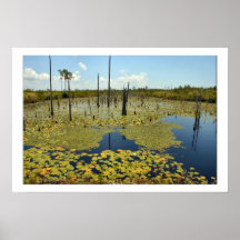 The Lily Pad Print