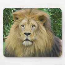 The Lion mousepads