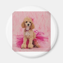 The little Ballerina Refrigerator Magnet